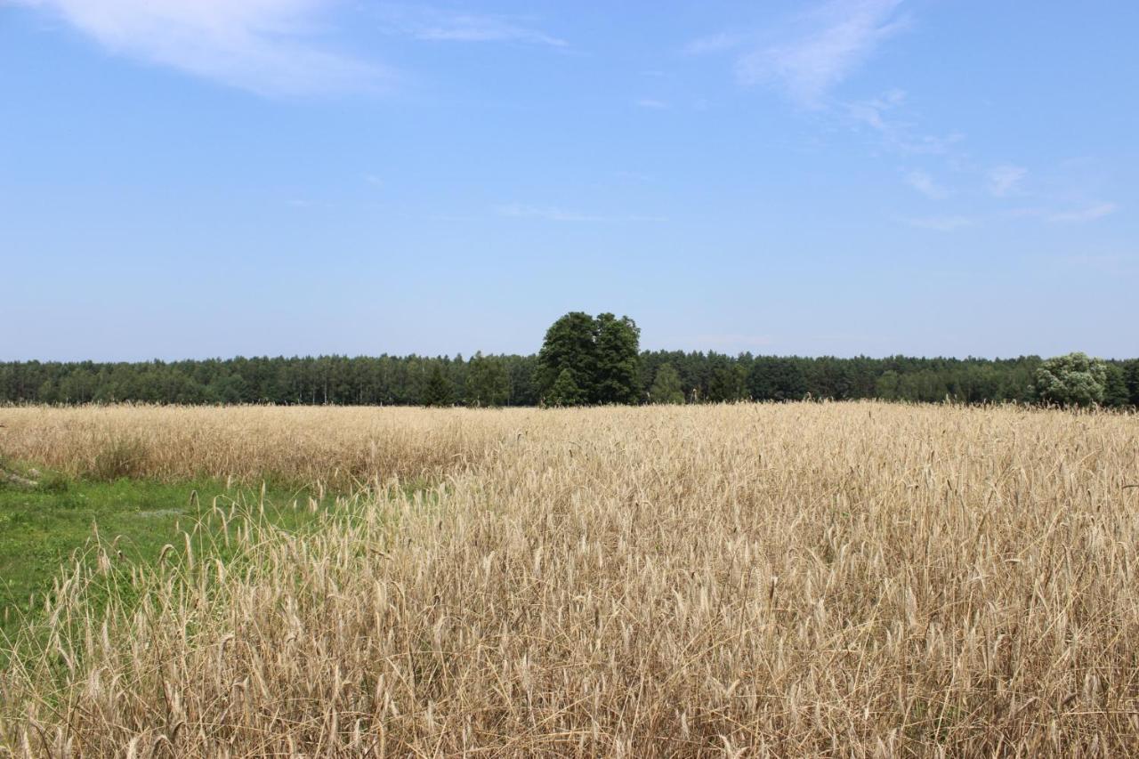 U Romaniukow Werstok Exteriör bild